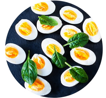 Egg snack for ADHD